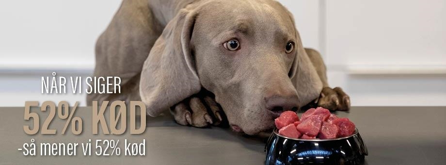 Arion Hundefoder