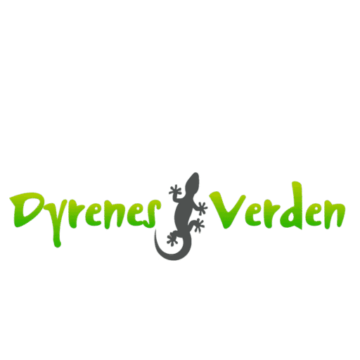 Dyrenes Verden