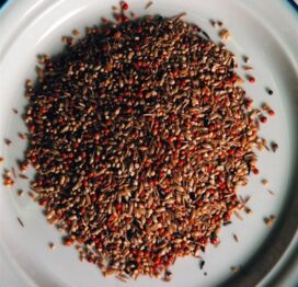 Ks tropeblanding 25kg - Billede 2