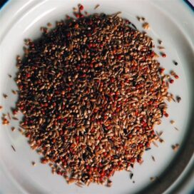 Ks tropeblanding 25kg - Billede 2