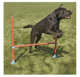 Agility Spring