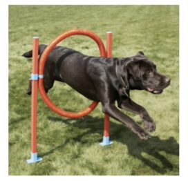 Agility pakke med 3 enheder - Billede 2