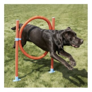 Agility Ring