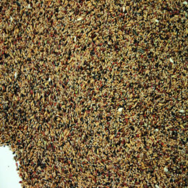 NATURAL SKOVFUGLE BLANDING 20KG - Billede 2
