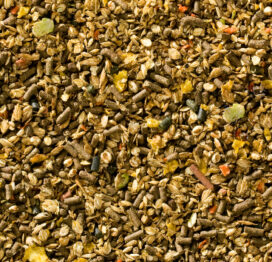 AVEVE 301 HESTEFODER