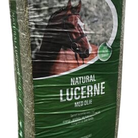 LUCERNE