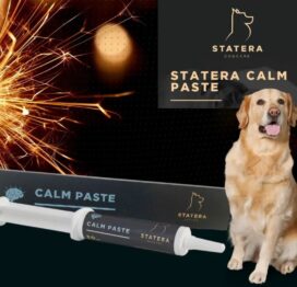 Statera Calm Paste