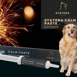 Statera Calm Paste