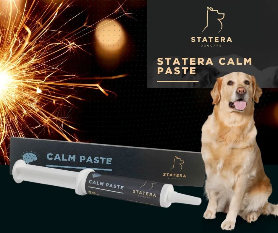 Statera Calm Paste