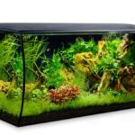 fluval flex 123l