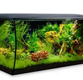 fluval flex 123l