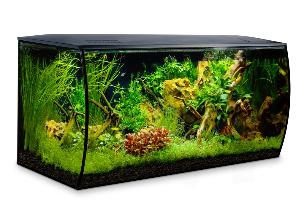 fluval flex 123l