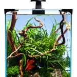 Nano Akvarie