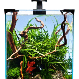 Nano Akvarie