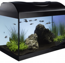 Akvarie startersæt - Billede 3