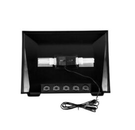 Regnskovs terrarie - Billede 5