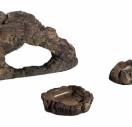 Regnskovs terrarie - Billede 4