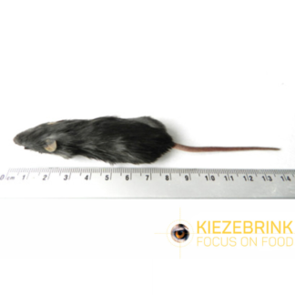 Mus-Voksen-15-22g