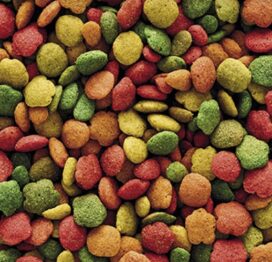 nutribird B14 Pellets