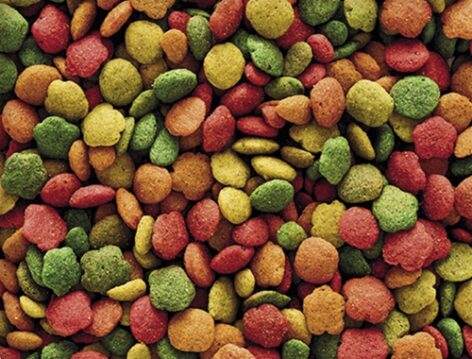 nutribird B14 Pellets