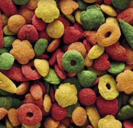 NUTRIBIRD P 19 TROPICAL 10KG