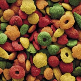 NUTRIBIRD P 19 TROPICAL 10KG