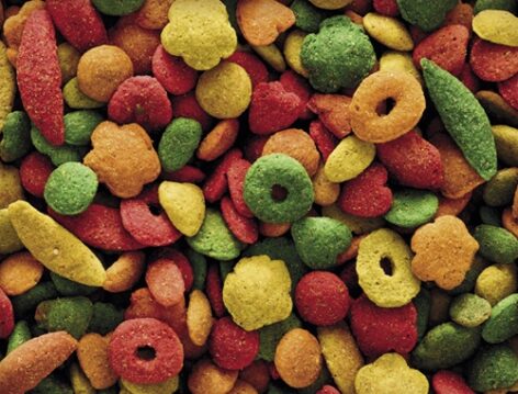 NUTRIBIRD P 19 TROPICAL 10KG