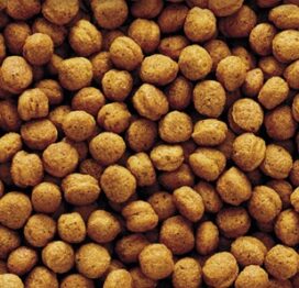 Nutribird T16 pellets 10kg