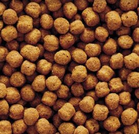 Nutribird T20 Pellets