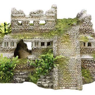 Maya ruin w. plants