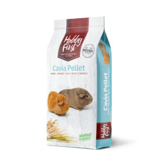 HOBBYFIRST CAVIA PELLET 20KG - GNAVER