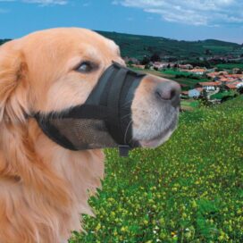 MUNDKURV NYLON STR XS