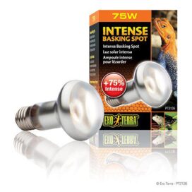 INTENSE BASKING SPOT 75W