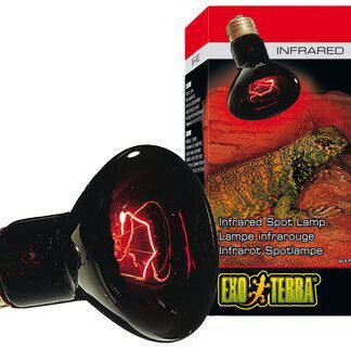 Exo Terra varmepære inferrød 50w