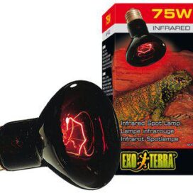 INFRARED BAKING SPOT 150W