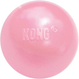 kong hvalpe bold - Billede 1