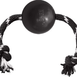 kong ball m snor - Billede 1