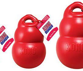 kong bounzer large - Billede 1