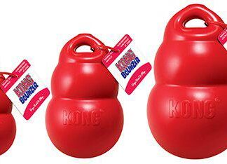 kong bounzer large
