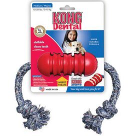 KONG DENTAL SMALL - Billede 1