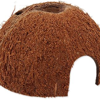 Rp Coco Shell 1/2 M