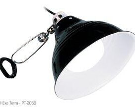 Reptil lampe selvlysende