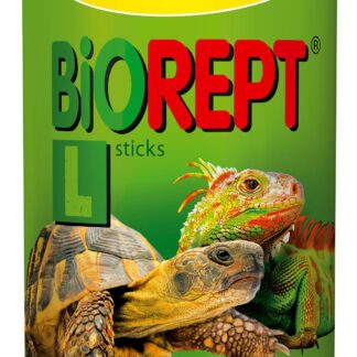 Tropical biorept Landskildpadde
