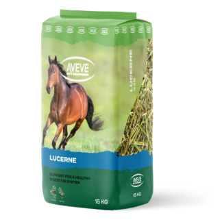HEST FODER & TILSKUD