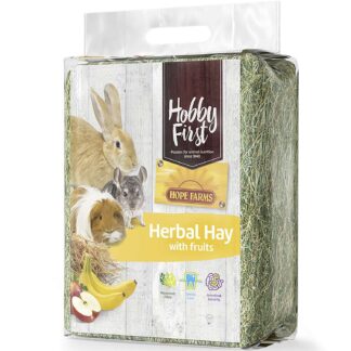 HOBBY FIRST Urte hø m. frugt - GNAVER FODER