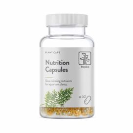 NUTRION CAPSULES X50