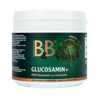 B&B Gluscosamin+ 500G