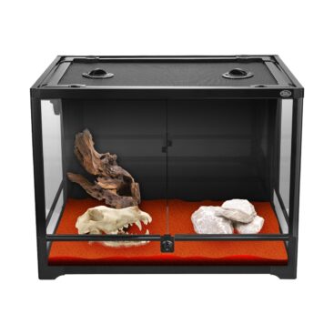 RNt terrarium 60