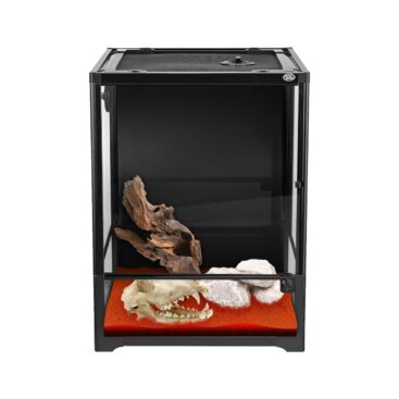 RNT terrarium 45
