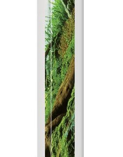 Akvariebaggrund med strand og planter, AN L 100 × 50 cm